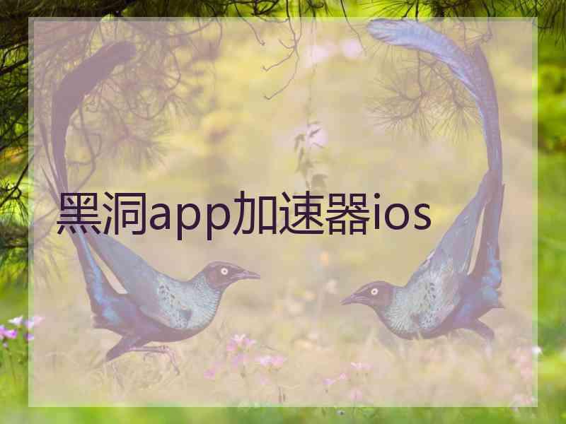 黑洞app加速器ios