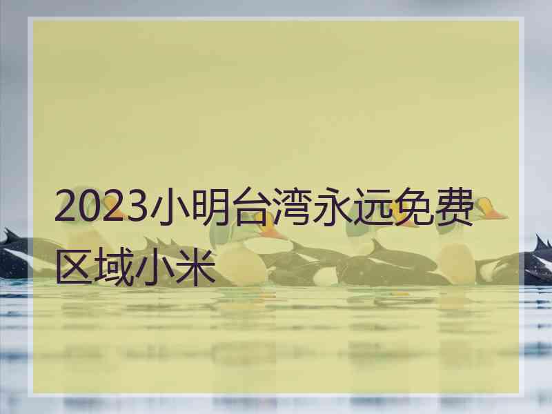 2023小明台湾永远免费区域小米