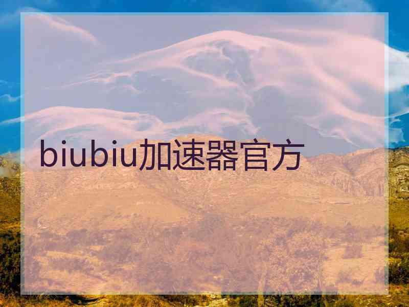 biubiu加速器官方