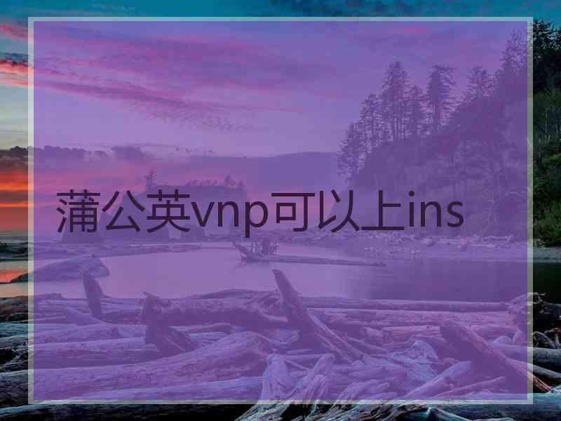 蒲公英vnp可以上ins