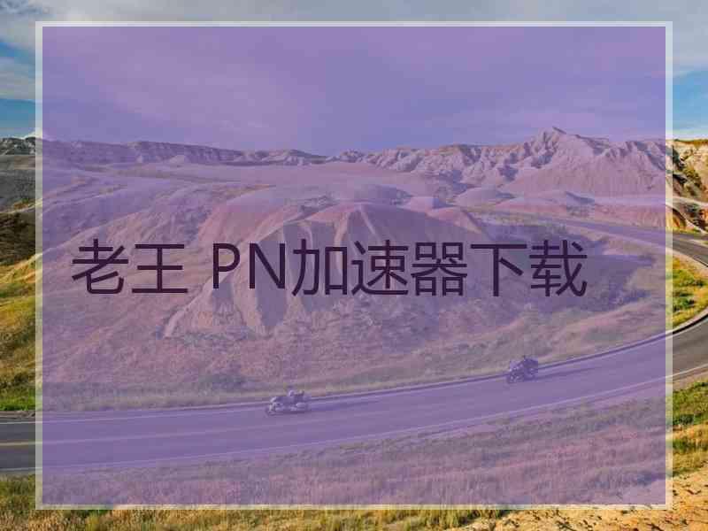 老王 PN加速器下载