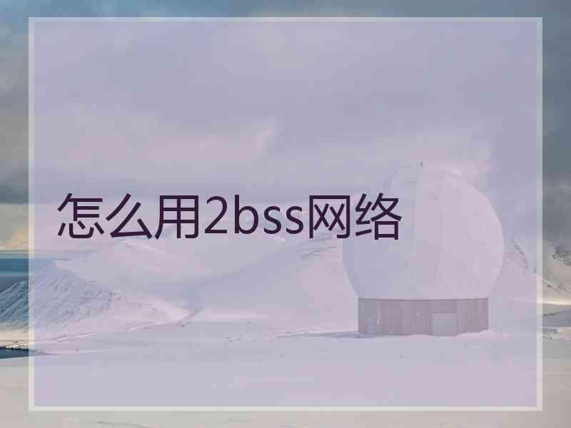 怎么用2bss网络