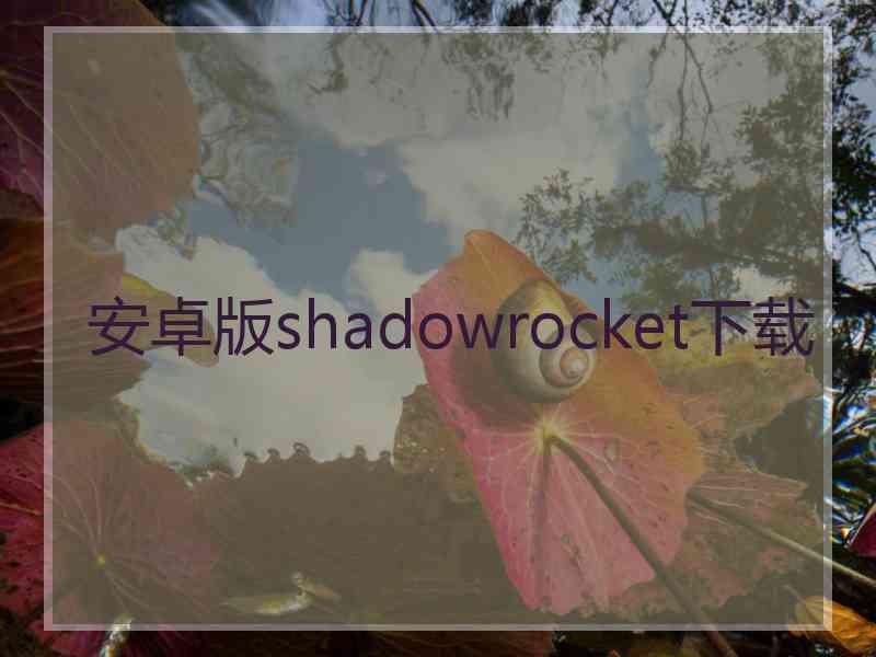 安卓版shadowrocket下载