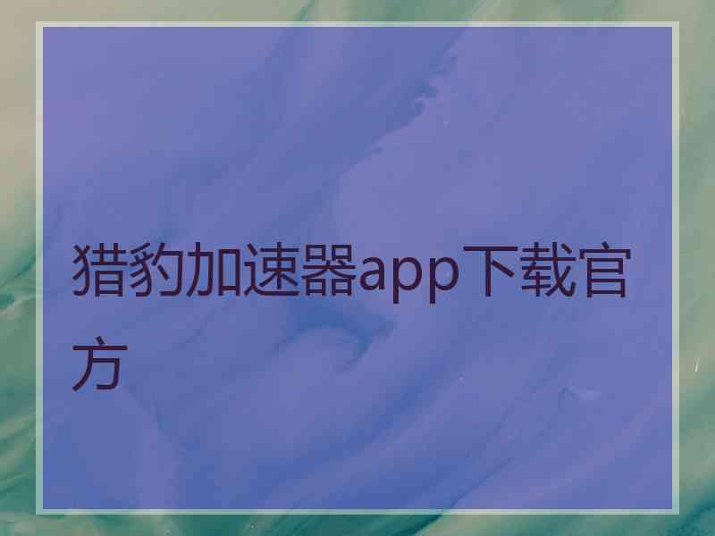 猎豹加速器app下载官方