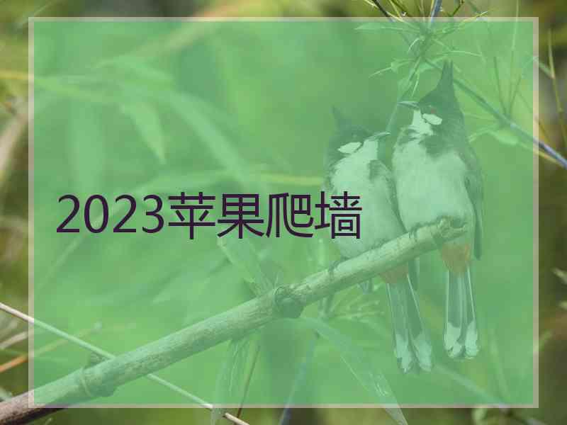 2023苹果爬墙